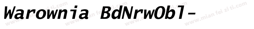 Warownia BdNrwObl字体转换